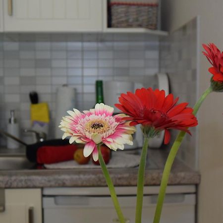 Ferienapartments Urlaub Und Meer Ostseebad Kühlungsborn Habitación foto