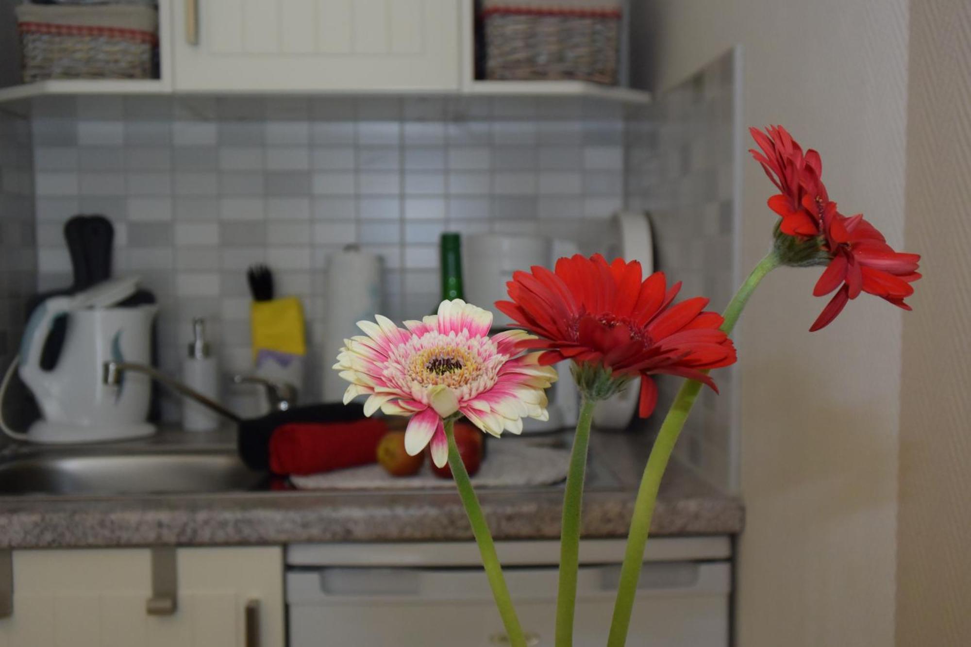 Ferienapartments Urlaub Und Meer Ostseebad Kühlungsborn Habitación foto